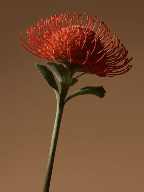A fresh bouquet on a desk in an office